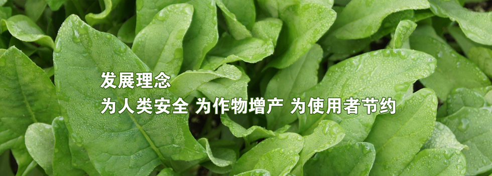 青島盛翔達肥業有限公司